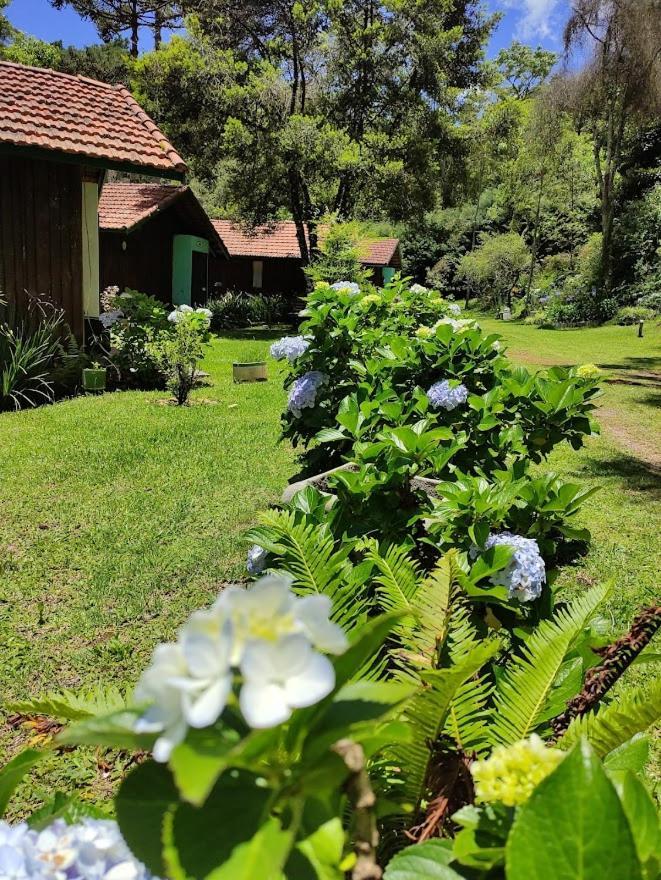 Inn Bramasole